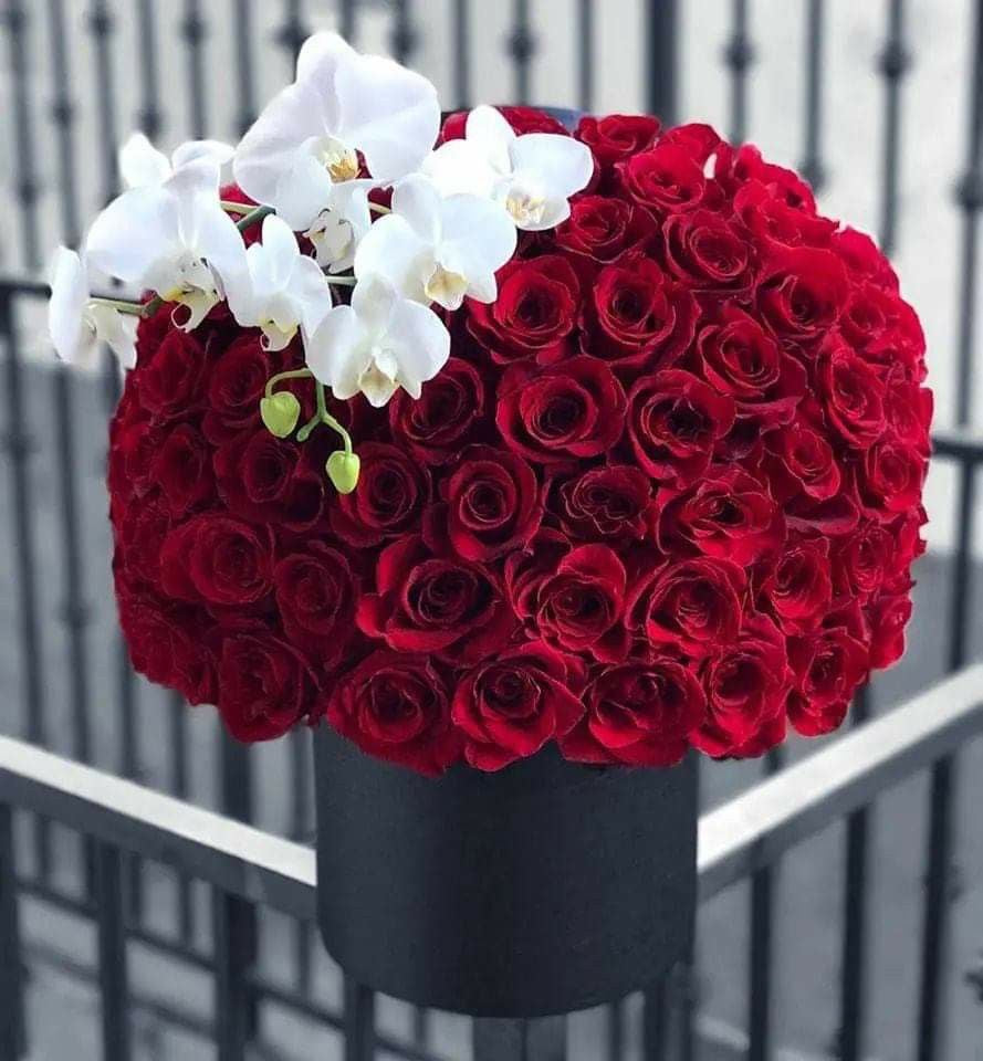 Box Of 100 Roses and Orchids