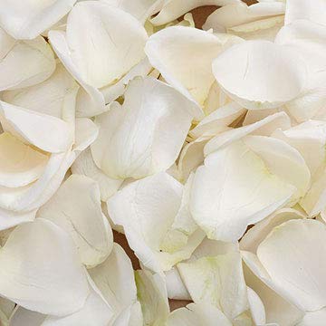 Large Bag of Petals