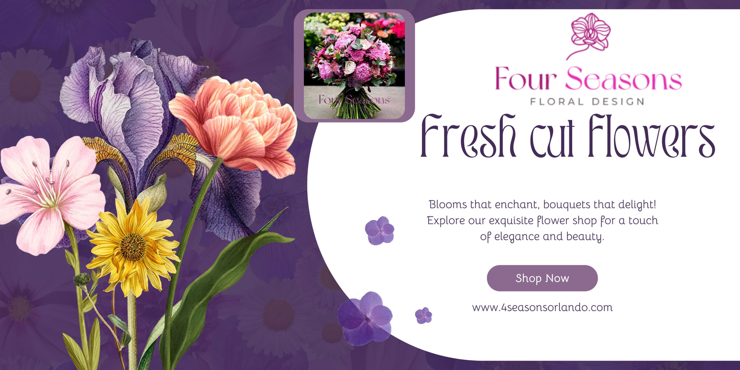 Fresh Cut Flowers