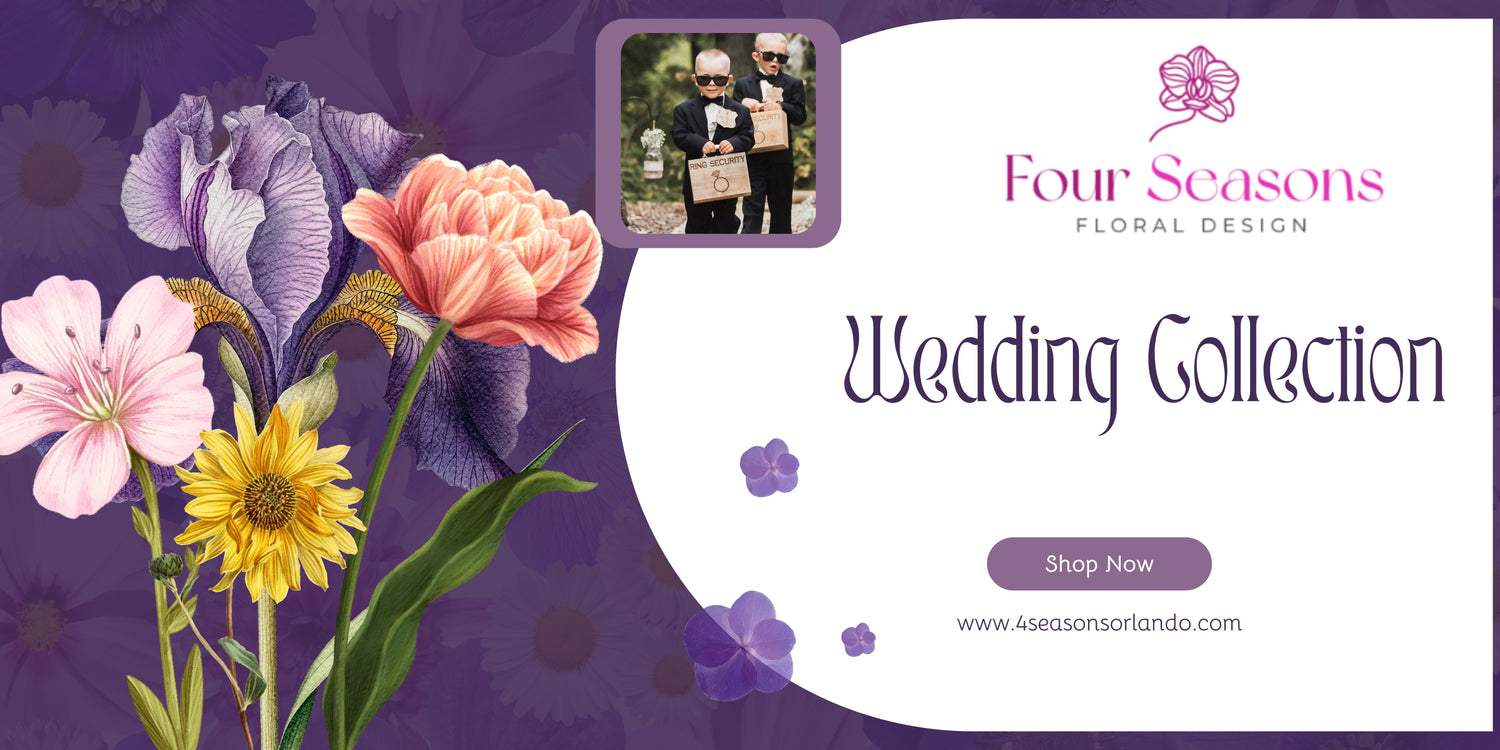 Wedding Collection