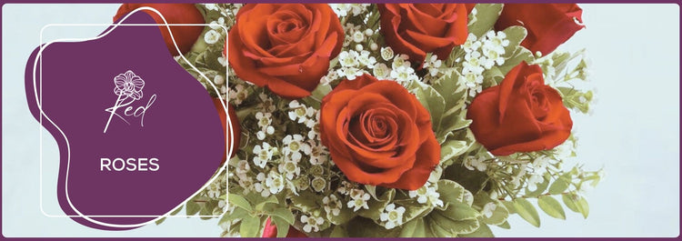 Red Roses