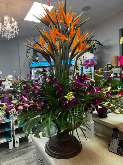 Giant Tropical Arrangement - With Birds of Paradise and Orchids