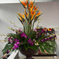 Giant Tropical Arrangement - With Birds of Paradise and Orchids